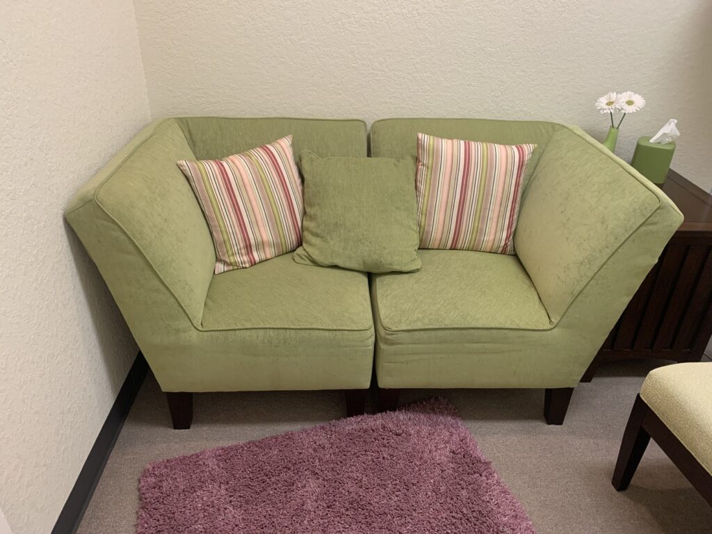 Loveseat Cleaning Houston