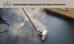 Carpet Steam Cleaning Vs Hot Water Extraction