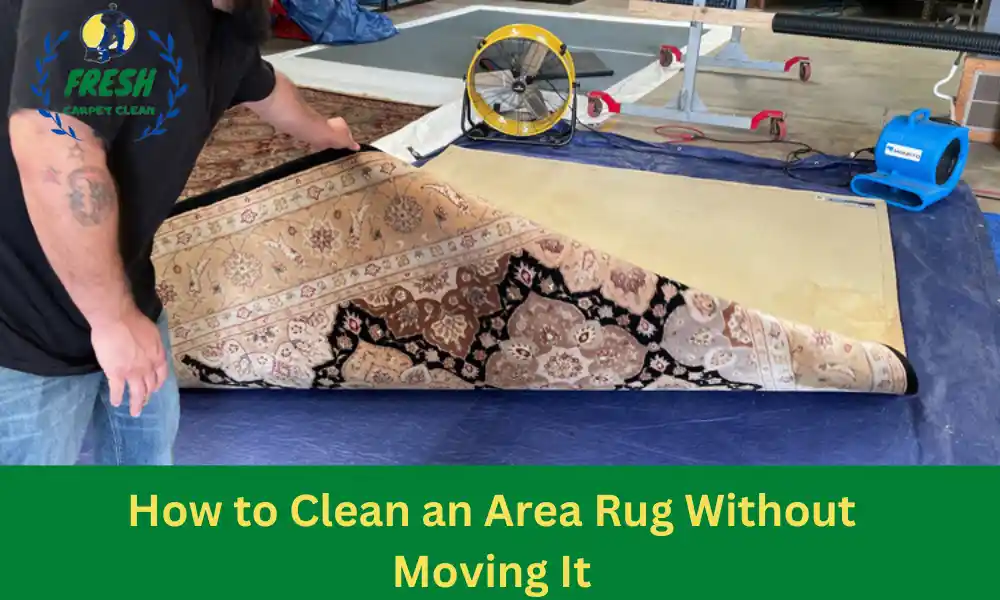 How to Clean an Area Rug Without Moving It